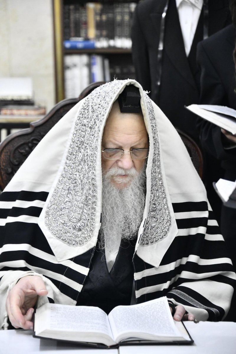 שוקי לרר