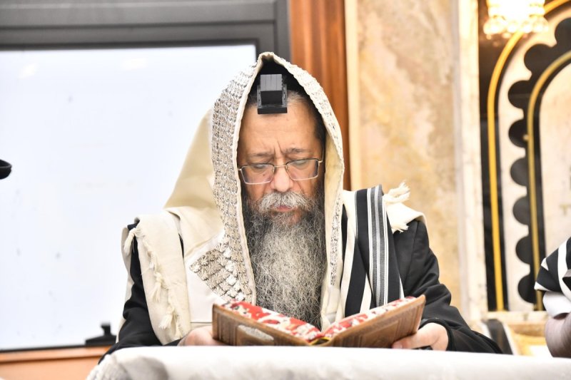 שוקי לרר