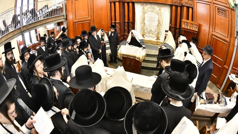 שוקי לרר