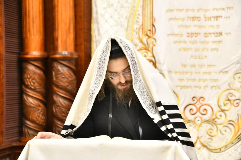 שוקי לרר
