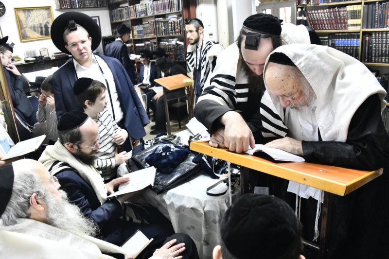 שוקי לרר