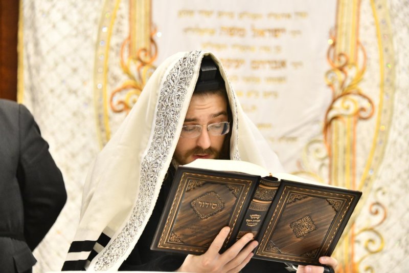 שוקי לרר