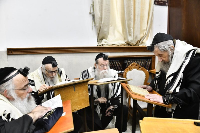 שוקי לרר