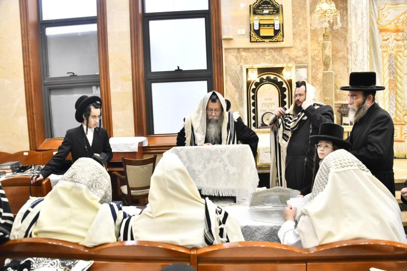 שוקי לרר