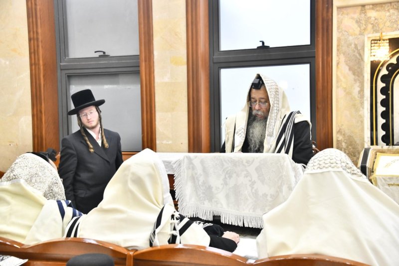 שוקי לרר
