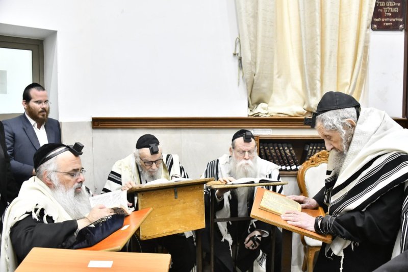שוקי לרר