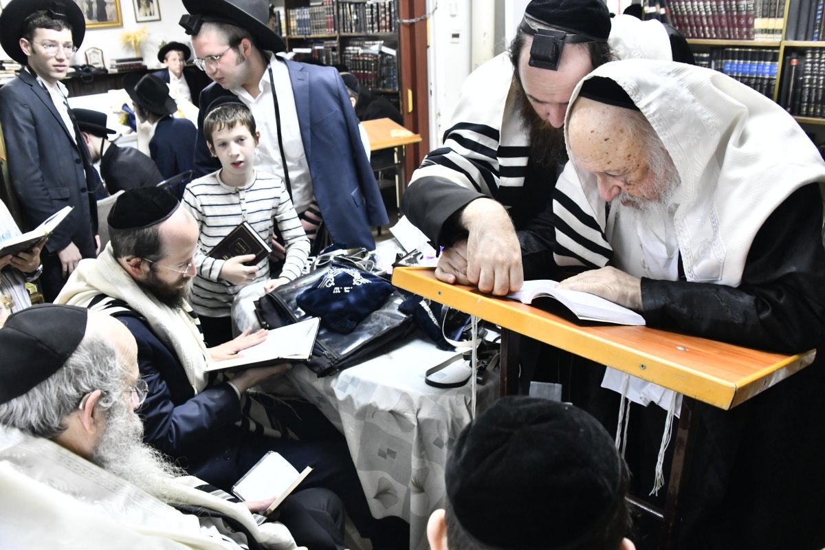 שוקי לרר