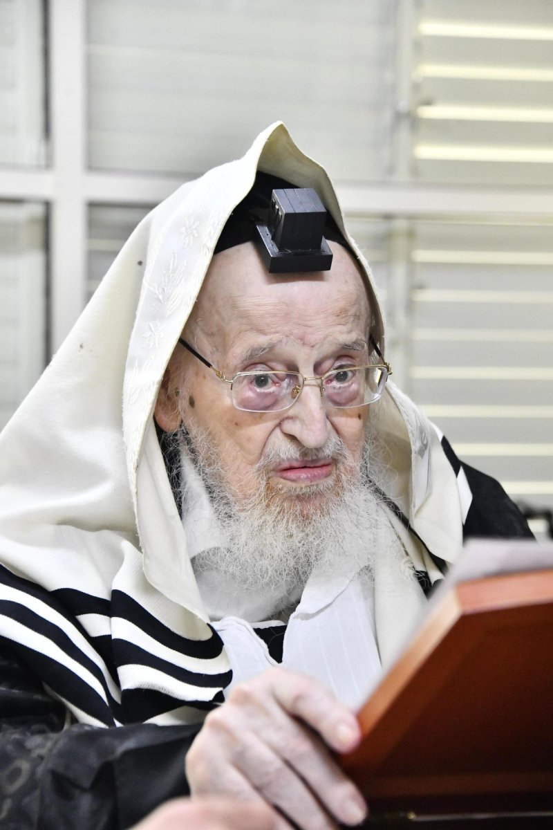 שוקי לרר