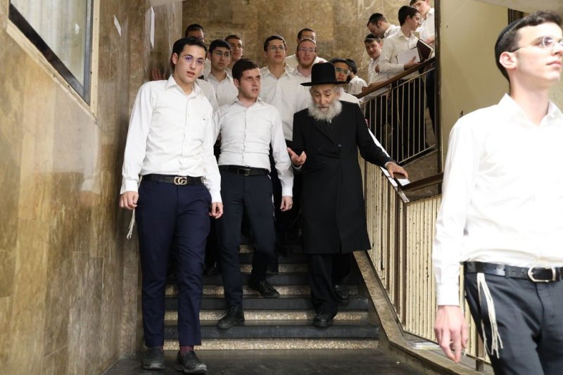 נתי פרל