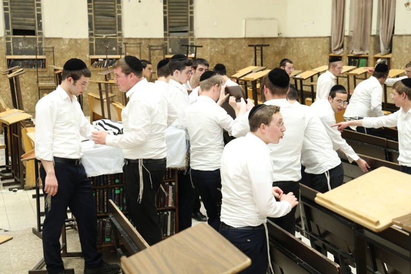 נתי פרל