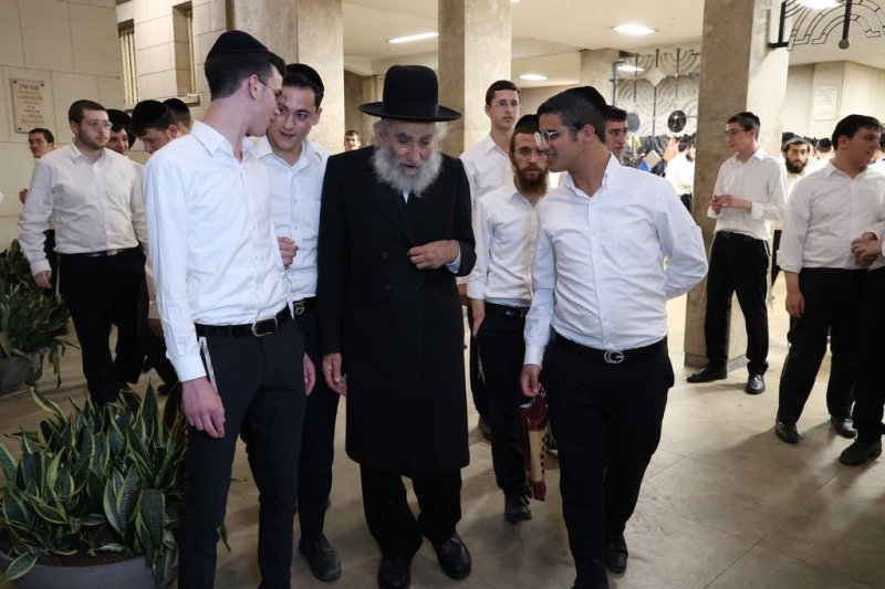 נתי פרל