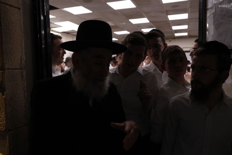 נתי פרל