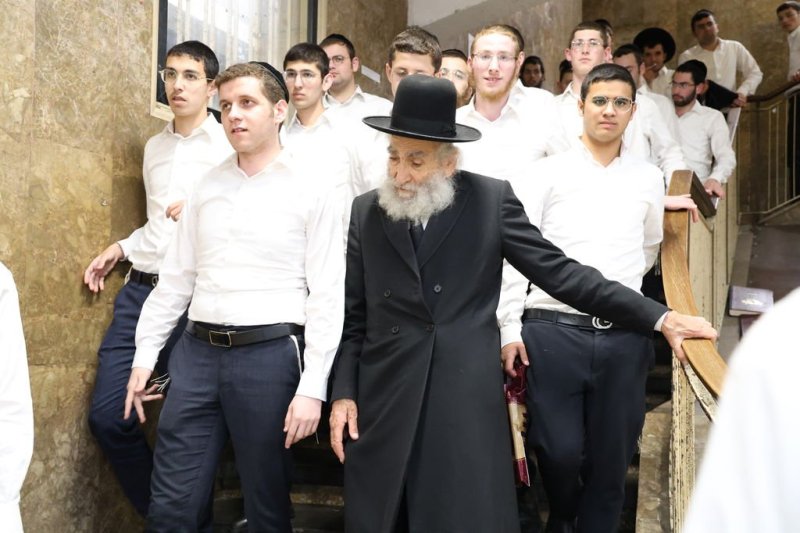 נתי פרל