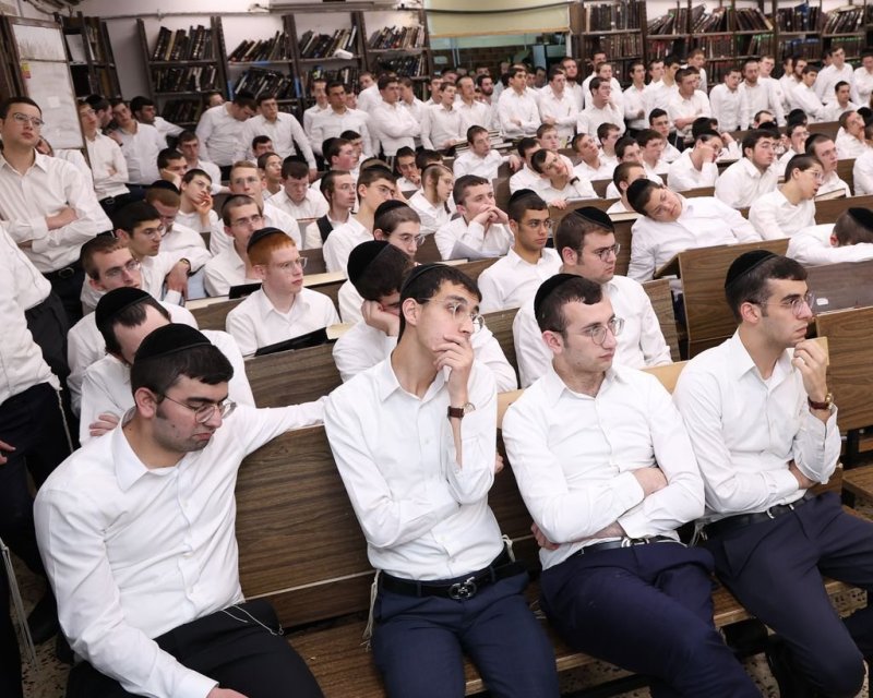 נתי פרל