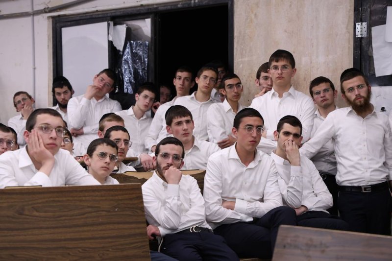 נתי פרל