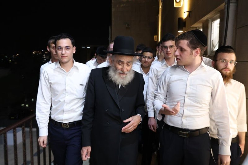 נתי פרל