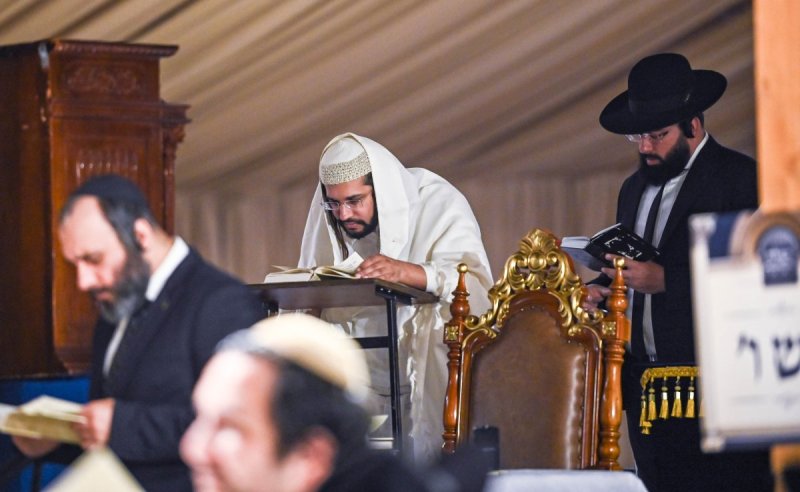 שוקי לרר