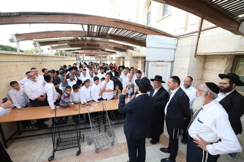 יעקב כהן