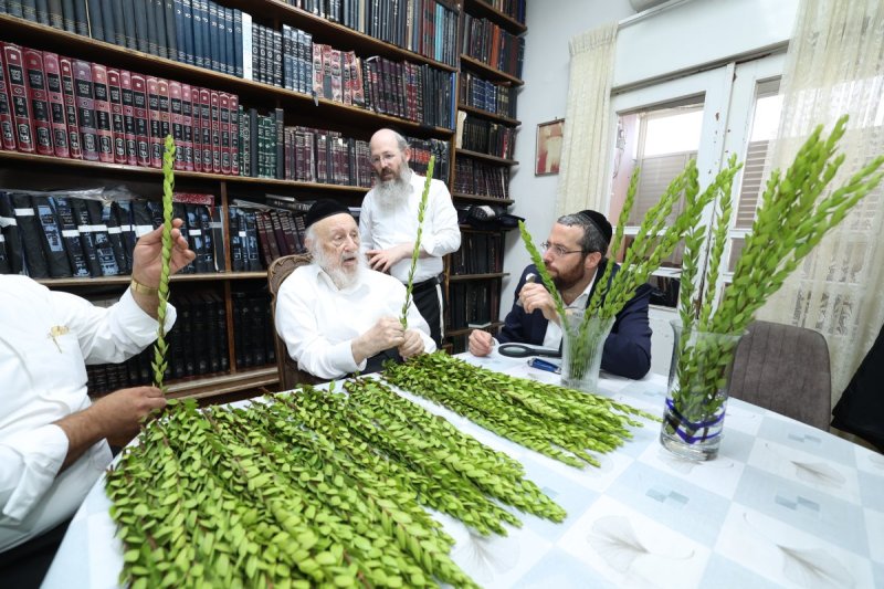 דוד ארזני
