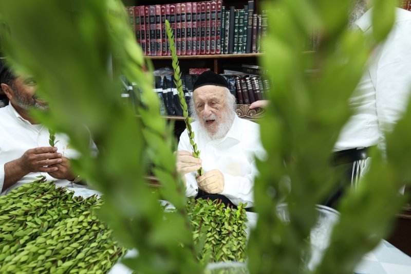דוד ארזני