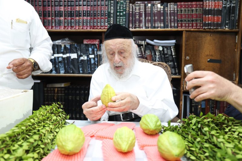 דוד ארזני