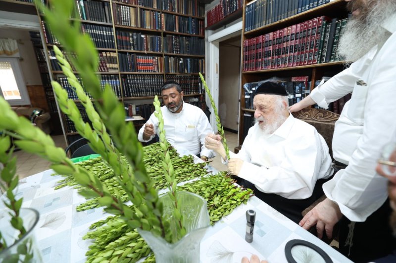 דוד ארזני