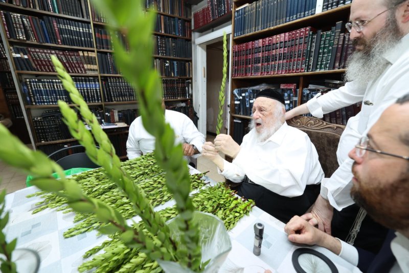דוד ארזני