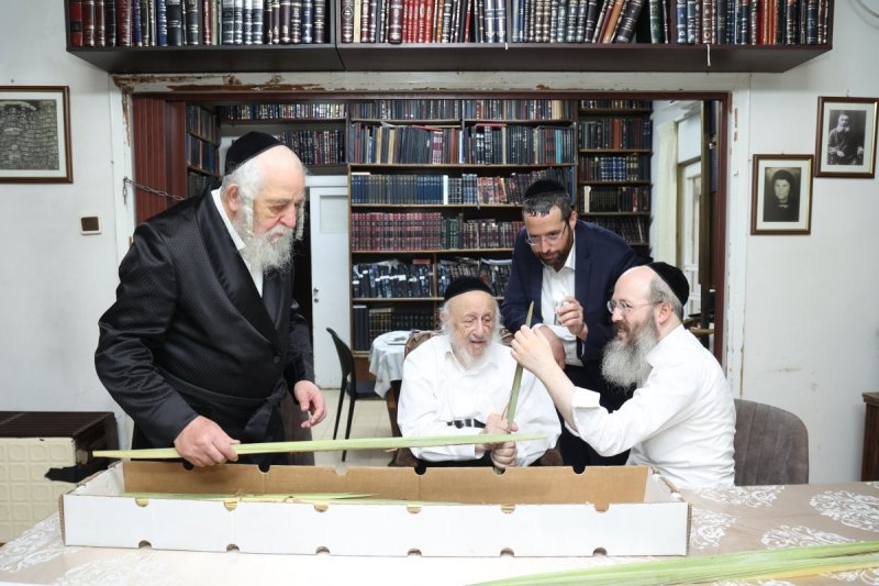 דוד ארזני