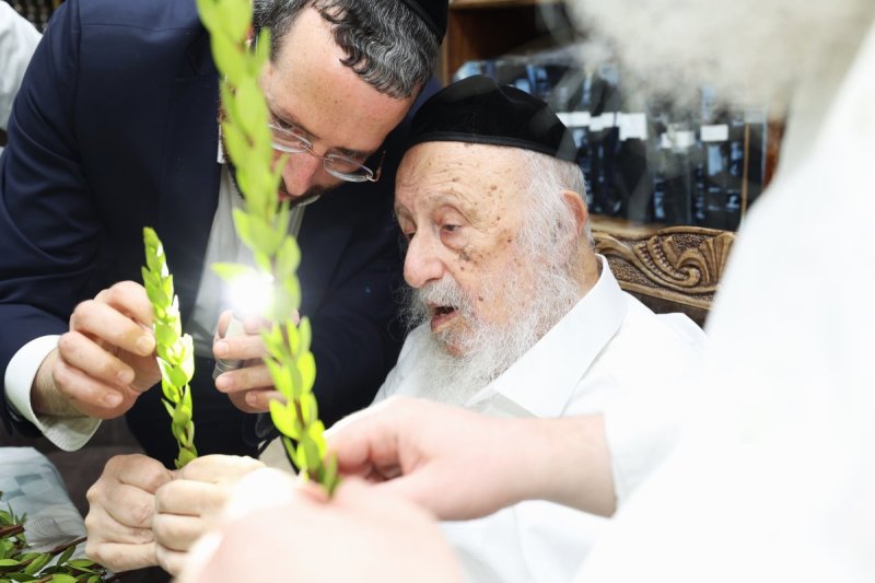 דוד ארזני