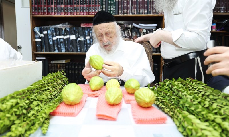 תיעוד מהקודש פנימה: על שולחנו של ראש הישיבה הונחו הד' מינים