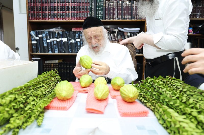 דוד ארזני