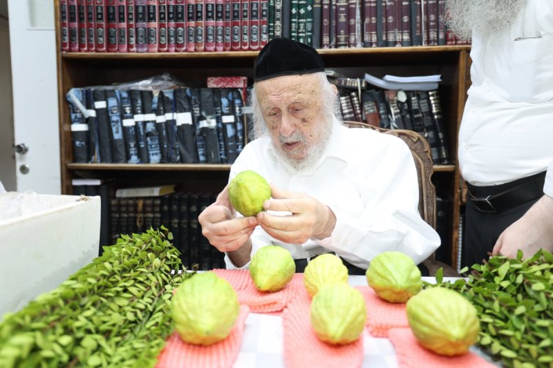 דוד ארזני