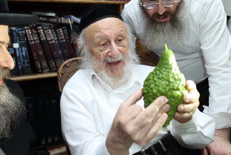 דוד ארזני