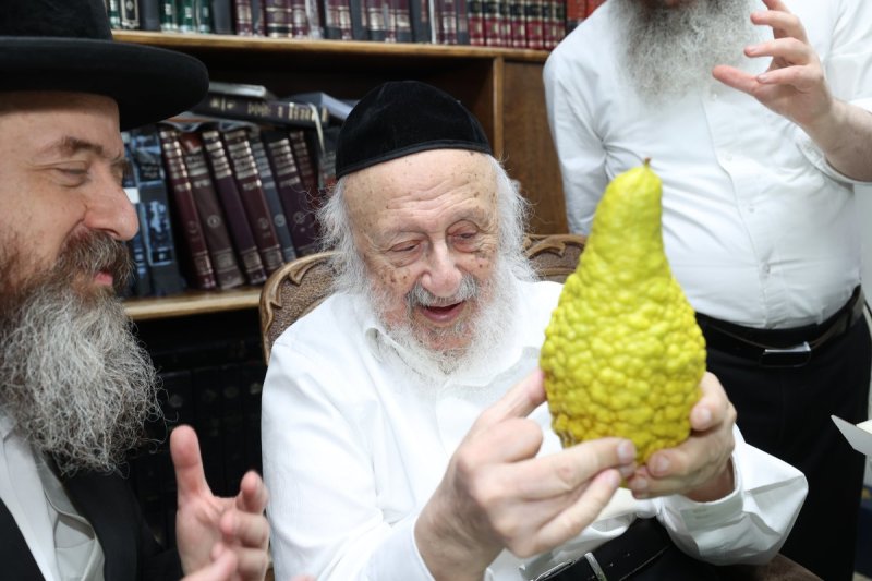 דוד ארזני