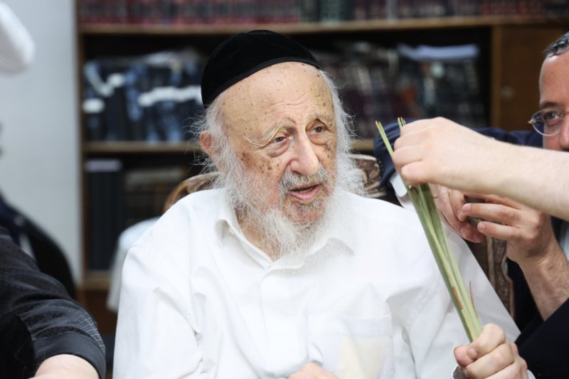דוד ארזני