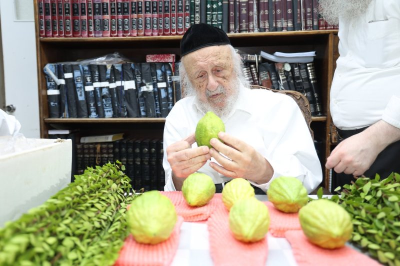 דוד ארזני