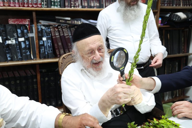 דוד ארזני