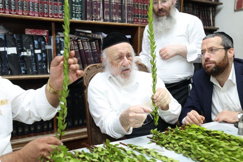 דוד ארזני