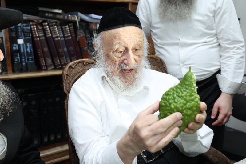 דוד ארזני