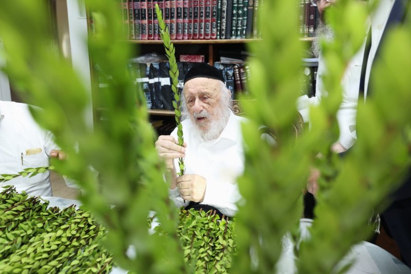דוד ארזני