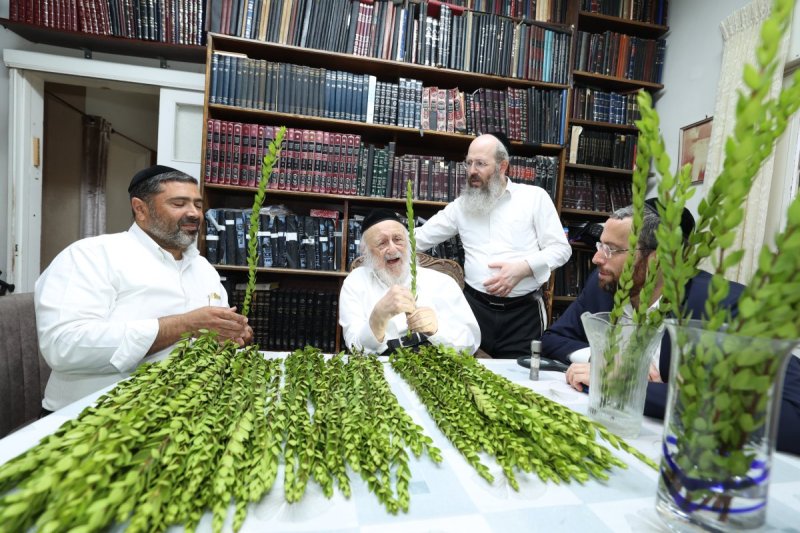 דוד ארזני