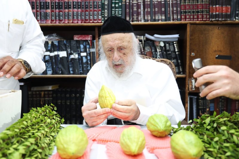 דוד ארזני