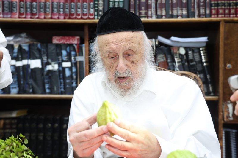 דוד ארזני