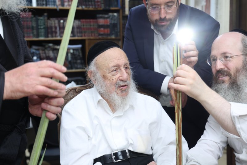 דוד ארזני