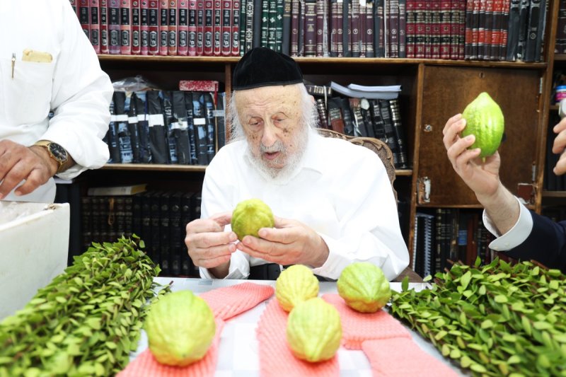 דוד ארזני