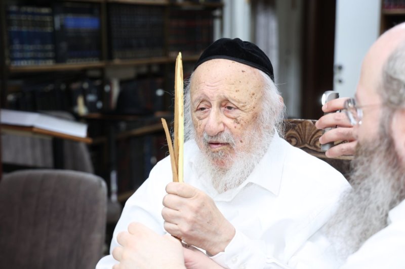דוד ארזני