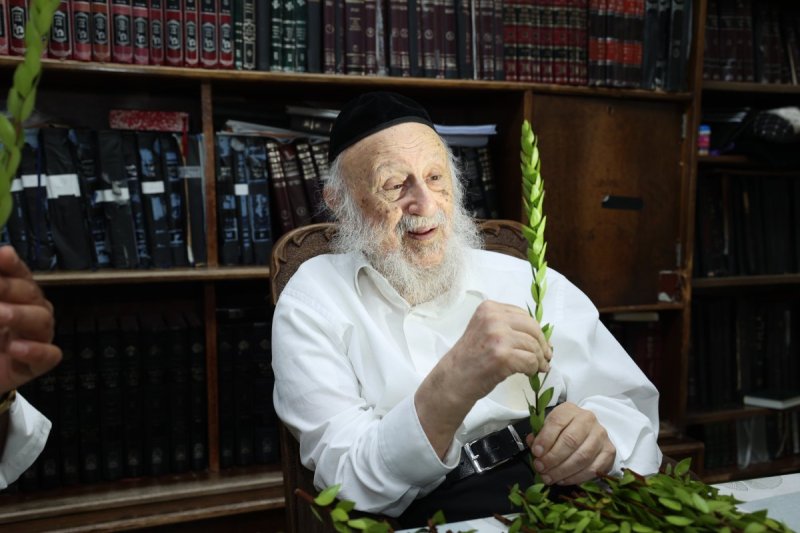 דוד ארזני