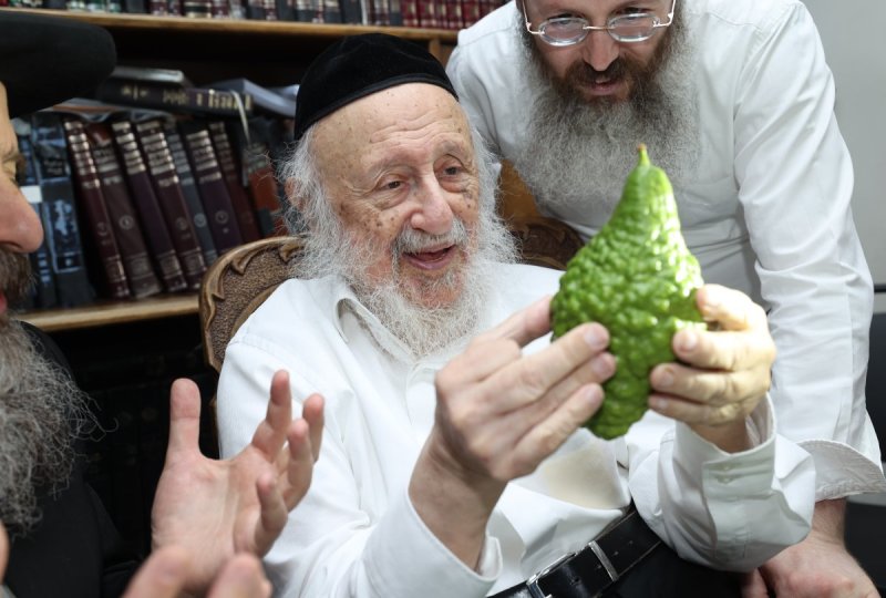 דוד ארזני