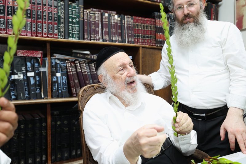 דוד ארזני