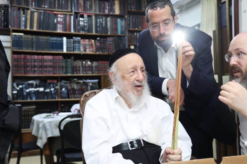 דוד ארזני